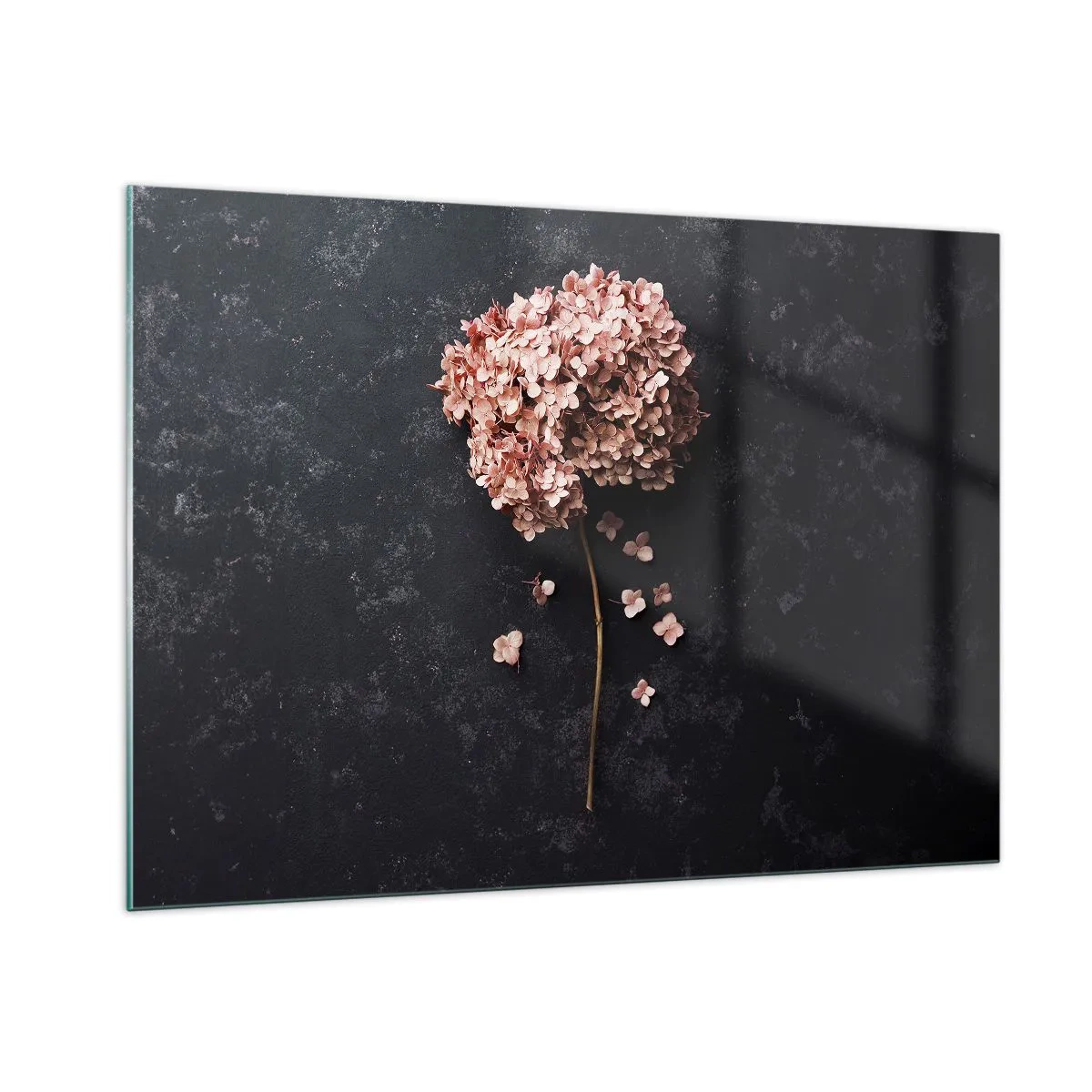 Glasbild - Bild auf glas - Trockene Hortensie mit verstreuten Blütenblättern auf dunklem Hintergrund - 100x70cm - Wirklich romantisches Zeichen - Moderne Wanddekoration für Wohnzimmer und Schlafzimmer ARTTOR