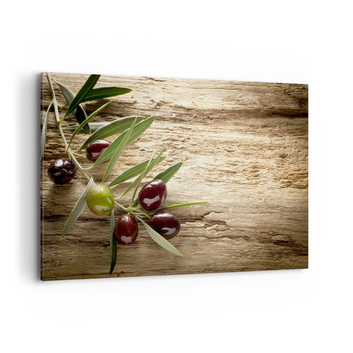 Bild auf Leinwand - Leinwandbild - Olivenzweig mit Früchten auf einem Hintergrund aus gealtertem Holz - 120x80cm - Direkt aus der Natur - Moderne Wanddekoration für Wohnzimmer und Schlafzimmer ARTTOR