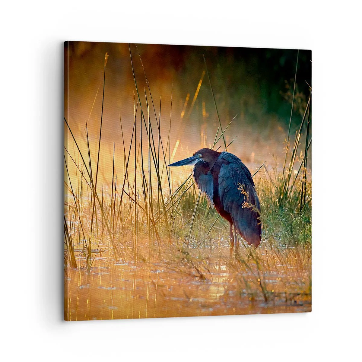 Bild auf Leinwand - Leinwandbild - Komm, gib mir eine Pause mit diesen Fotos - 60x60 cm