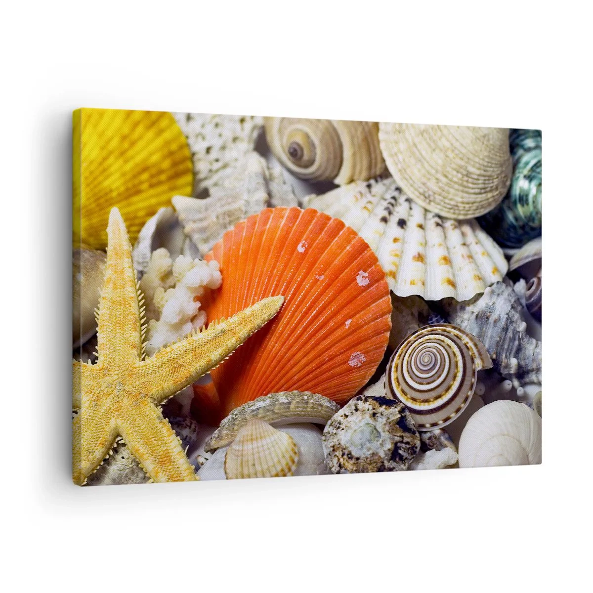 Bild auf Leinwand - Leinwandbild - Muscheln und Seesterne in einer Meereskomposition - 70x50cm - Schätze des Ozeans - Moderne Wanddekoration für Wohnzimmer und Schlafzimmer ARTTOR