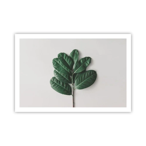 Poster - Eine Zeichnung purer Natur - 91x61 cm