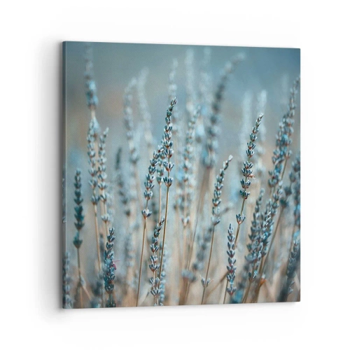 Bild auf Leinwand - Leinwandbild - Duftendes Kornfeld - 70x70 cm