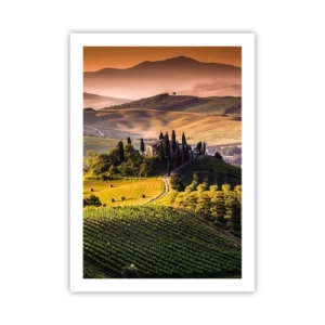 Poster - Toskanische Landschaft mit Weinbergen bei Sonnenuntergang - 50x70cm - Arkadien - die toskanische Landschaft - Moderne Wanddekoration für Wohnzimmer und Schlafzimmer ARTTOR