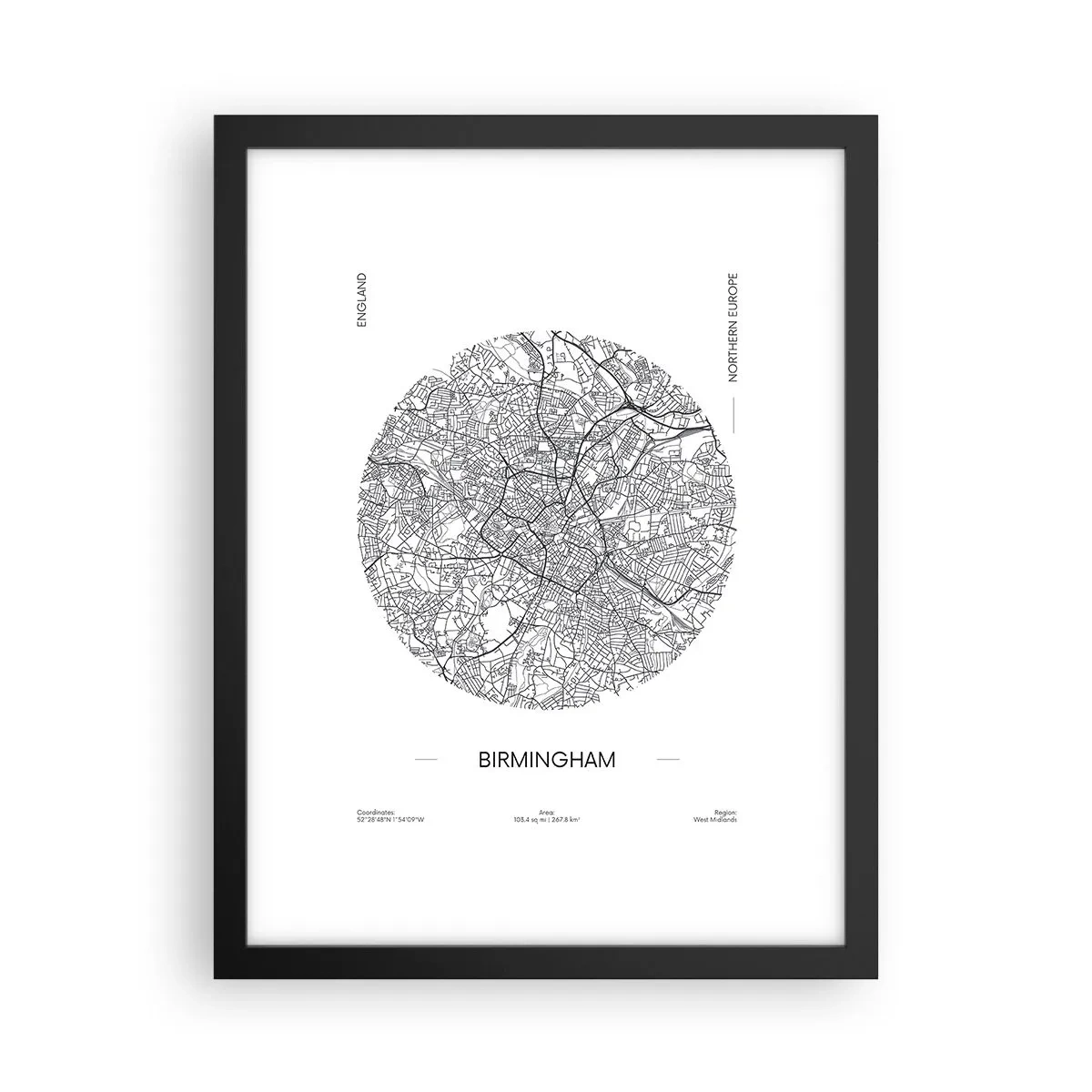 Poster in einem schwarzem Rahmen - Anatomie von Birmingham - 30x40 cm