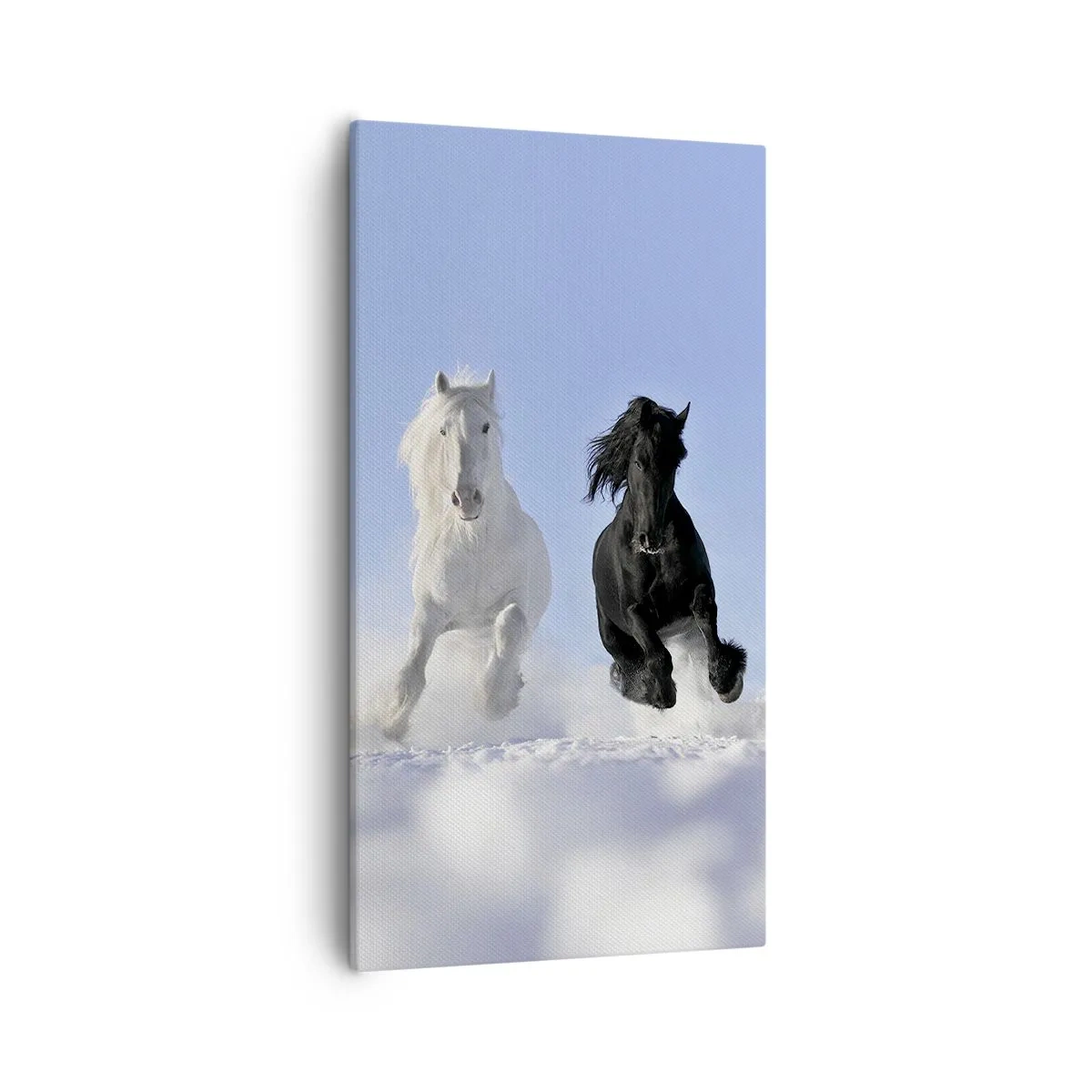 Bild auf Leinwand - Leinwandbild - Schwarz-Weiß-Galopp - 55x100 cm