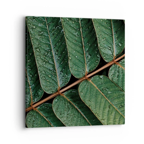 Bild auf Leinwand - Leinwandbild - Im grünen Rhythmus - 30x30 cm