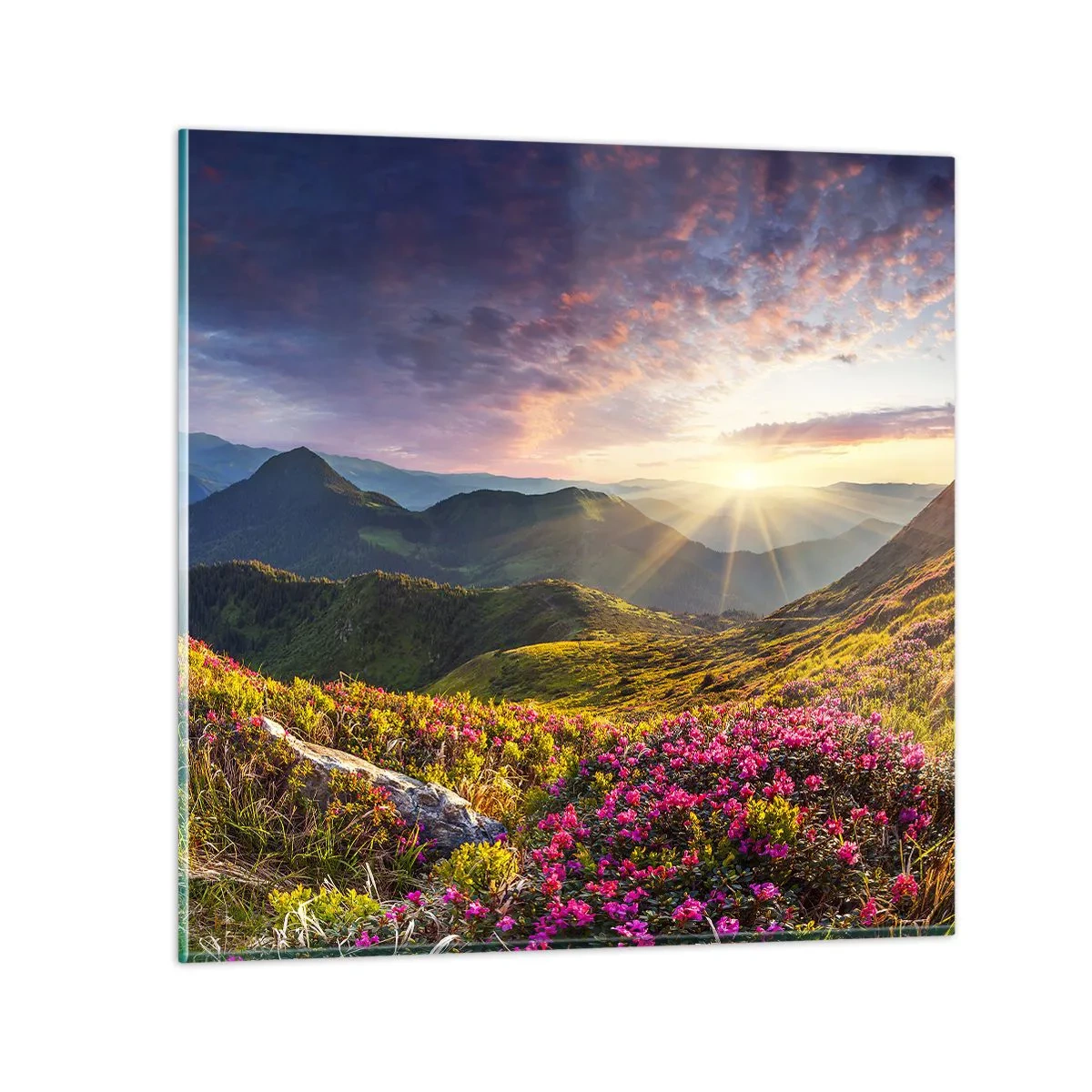 Glasbild - Bild auf glas - Frische am Bergmorgen - 70x70 cm