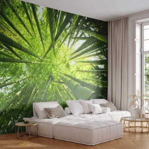 Fototapete Standard Eco - Blick von oben auf den dichten Bambuswald - 100x70cm - In einem Bambushain - Moderne Wanddekoration für Wohnzimmer und Schlafzimmer ARTTOR