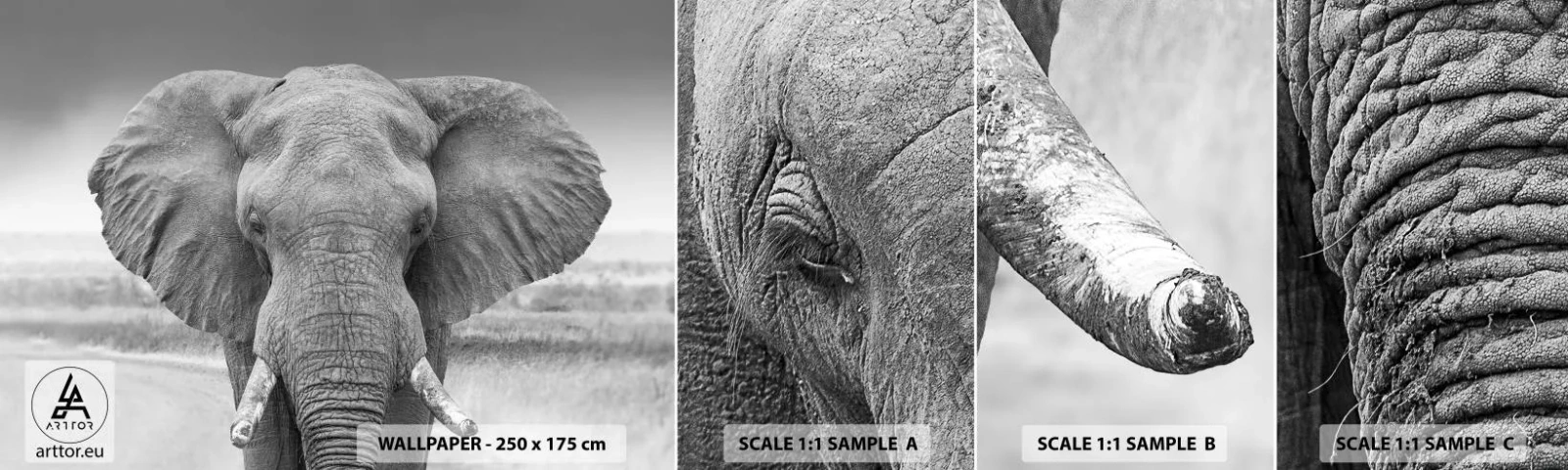 Fototapetenmuster Standard Eco - Willkommen in meiner Welt - Elefant, Afrika, Tiere - 100x30 cm