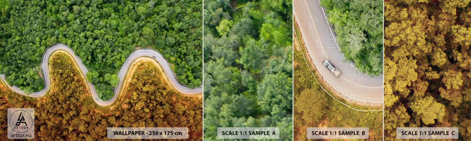 Fototapeten Muster Premium Canvas - Grenzen und Durchbrüche - Landschaft, Autostraße, Wald - 100x30 cm