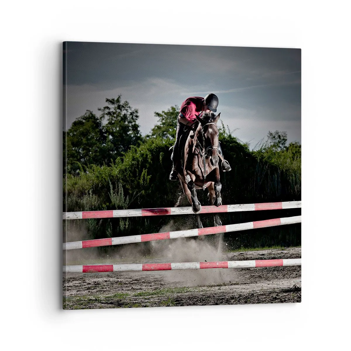 Bild auf Leinwand - Leinwandbild - Gemeinsam zum Sieg - 70x70 cm