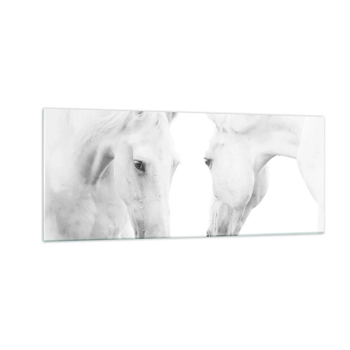 Glasbild - Bild auf glas - Ist das Freundschaft...? - 100x40 cm