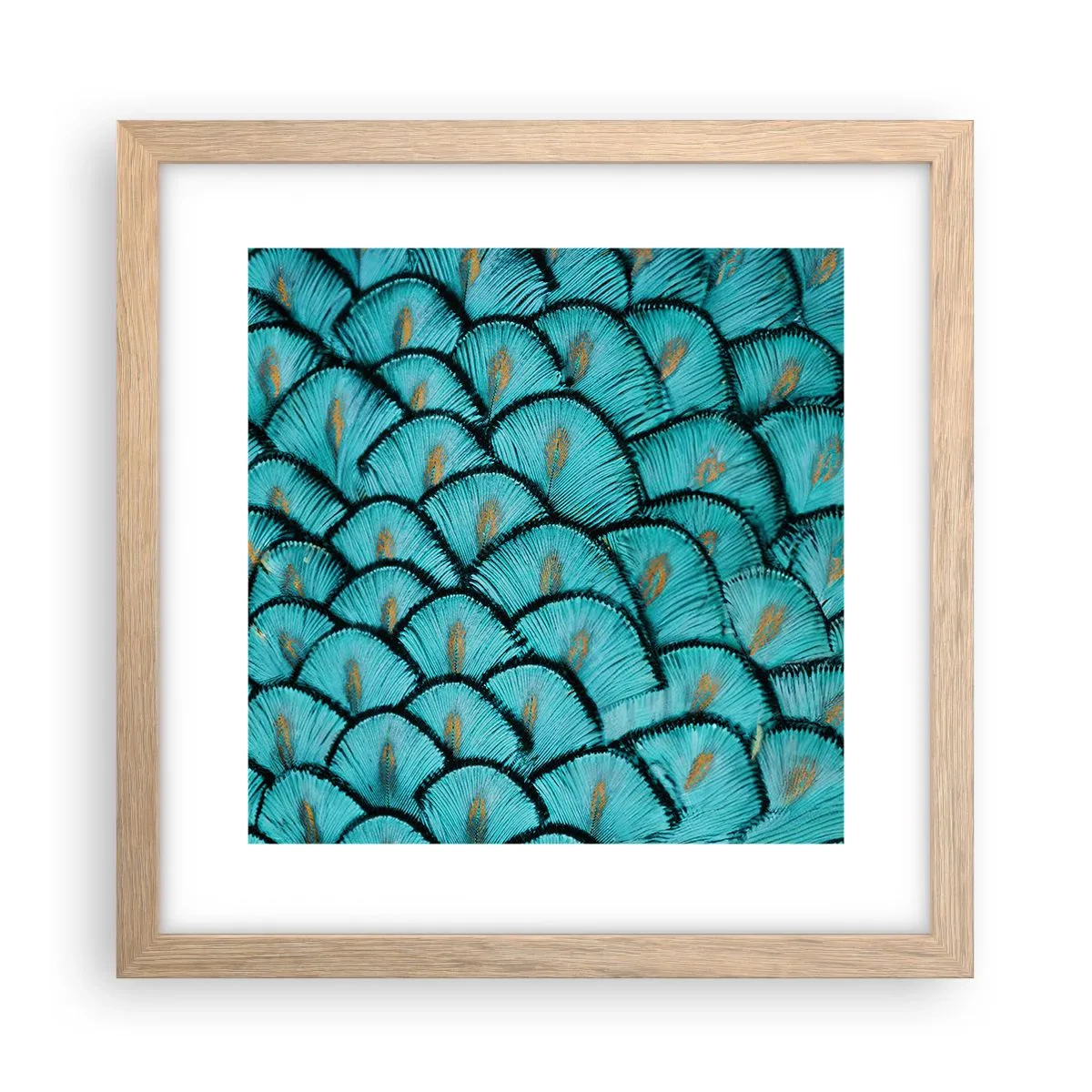 Poster in einem Rahmen aus heller Eiche - Große Federgala - 30x30 cm