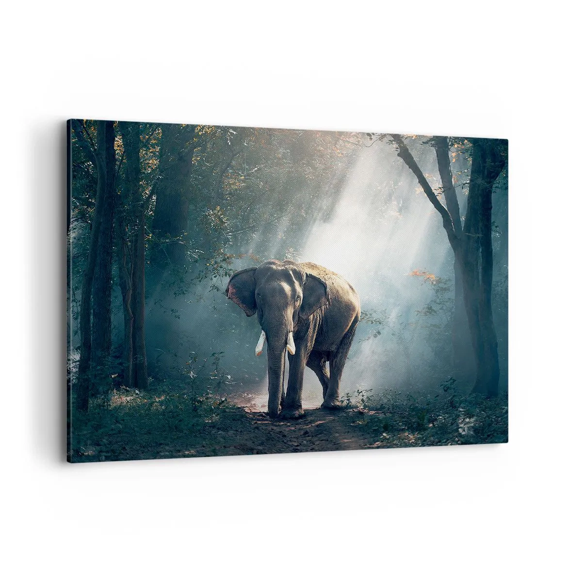Bild auf Leinwand - Leinwandbild - Elefant im Waldlicht - 100x70cm - Ein gemütlicher Spaziergang - Moderne Wanddekoration für Wohnzimmer und Schlafzimmer ARTTOR