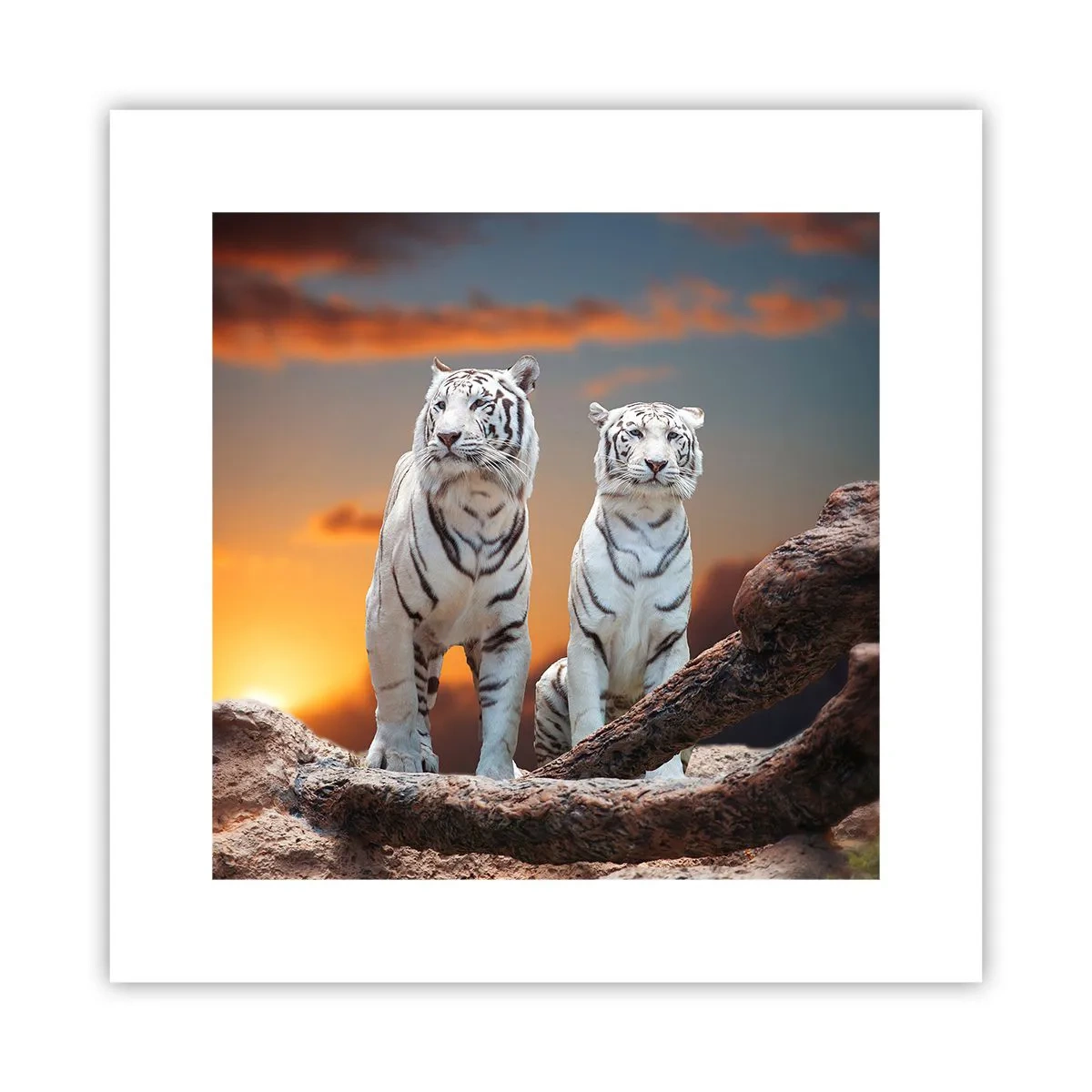 Poster - Genau wie Narnia - 30x30 cm