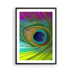 Poster in einem schwarzem Rahmen - Detail einer Pfauenfeder in intensiven Farben - 50x70cm - Auge in Auge - Moderne Wanddekoration für Wohnzimmer und Schlafzimmer ARTTOR