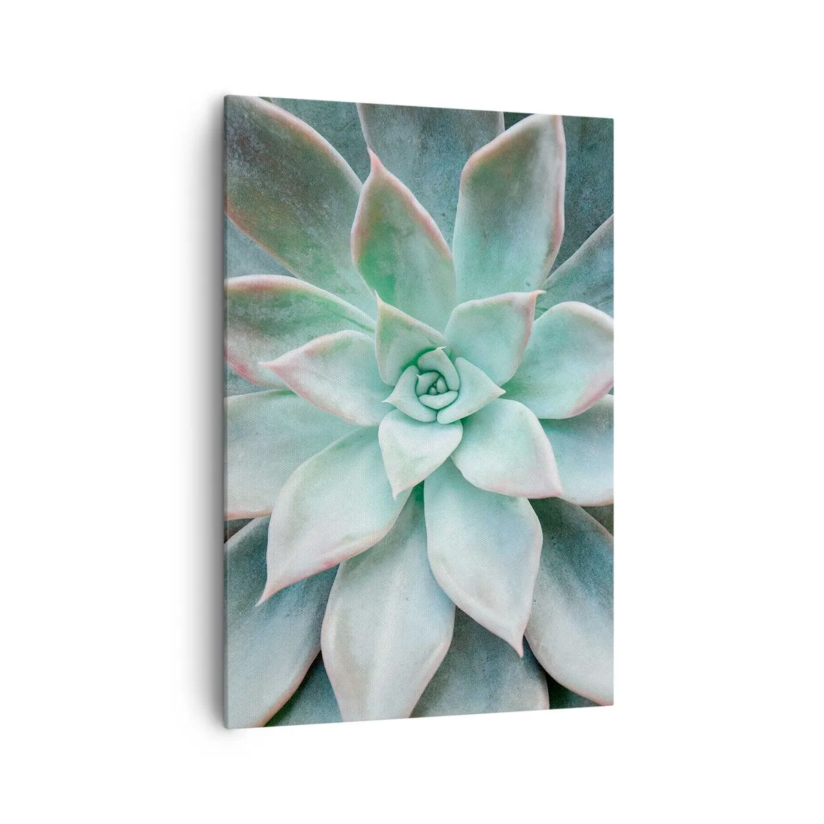Bild auf Leinwand - Leinwandbild - Nahaufnahme einer grünen Sukkulente - 70x100cm - Das Herz der Wüste - Moderne Wanddekoration für Wohnzimmer und Schlafzimmer ARTTOR