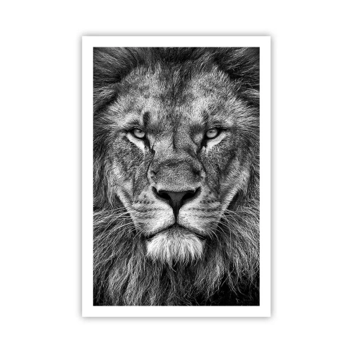 Poster - Im Krönungsgewand - 61x91 cm