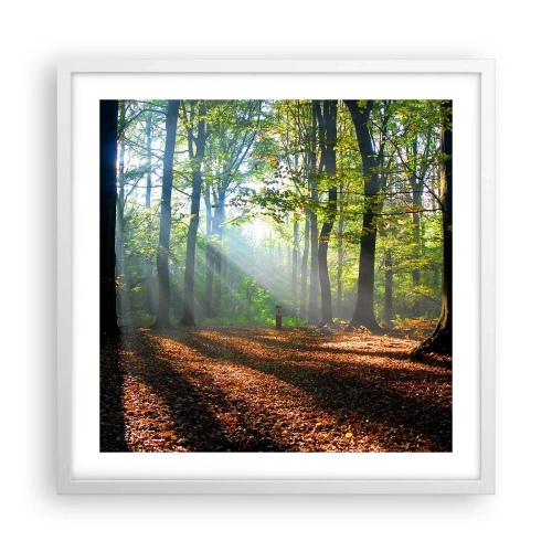 Poster in einem weißen Rahmen - Licht und Schatten - 50x50 cm