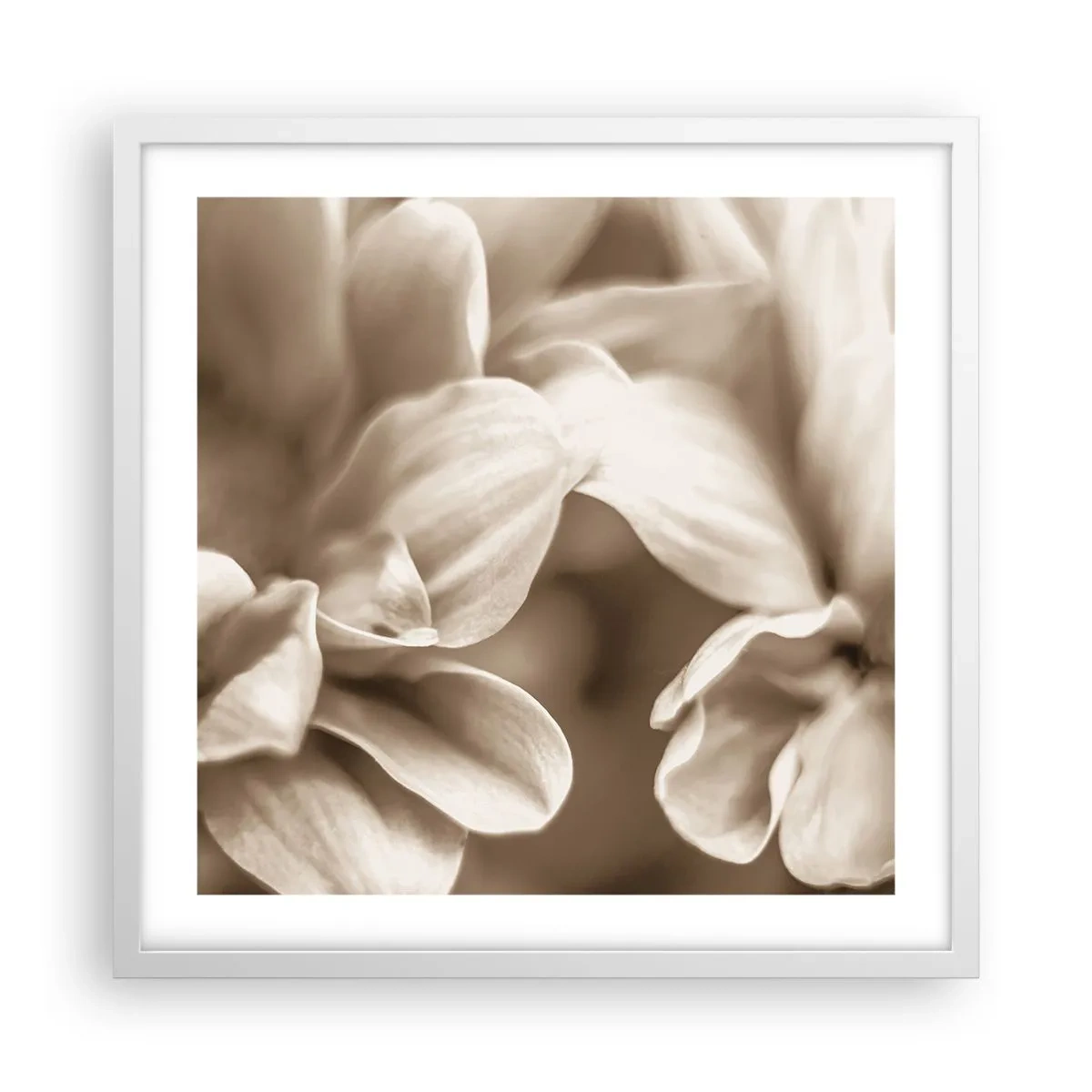 Poster in einem weißen Rahmen - So sanft wie ein Lächeln - 50x50 cm