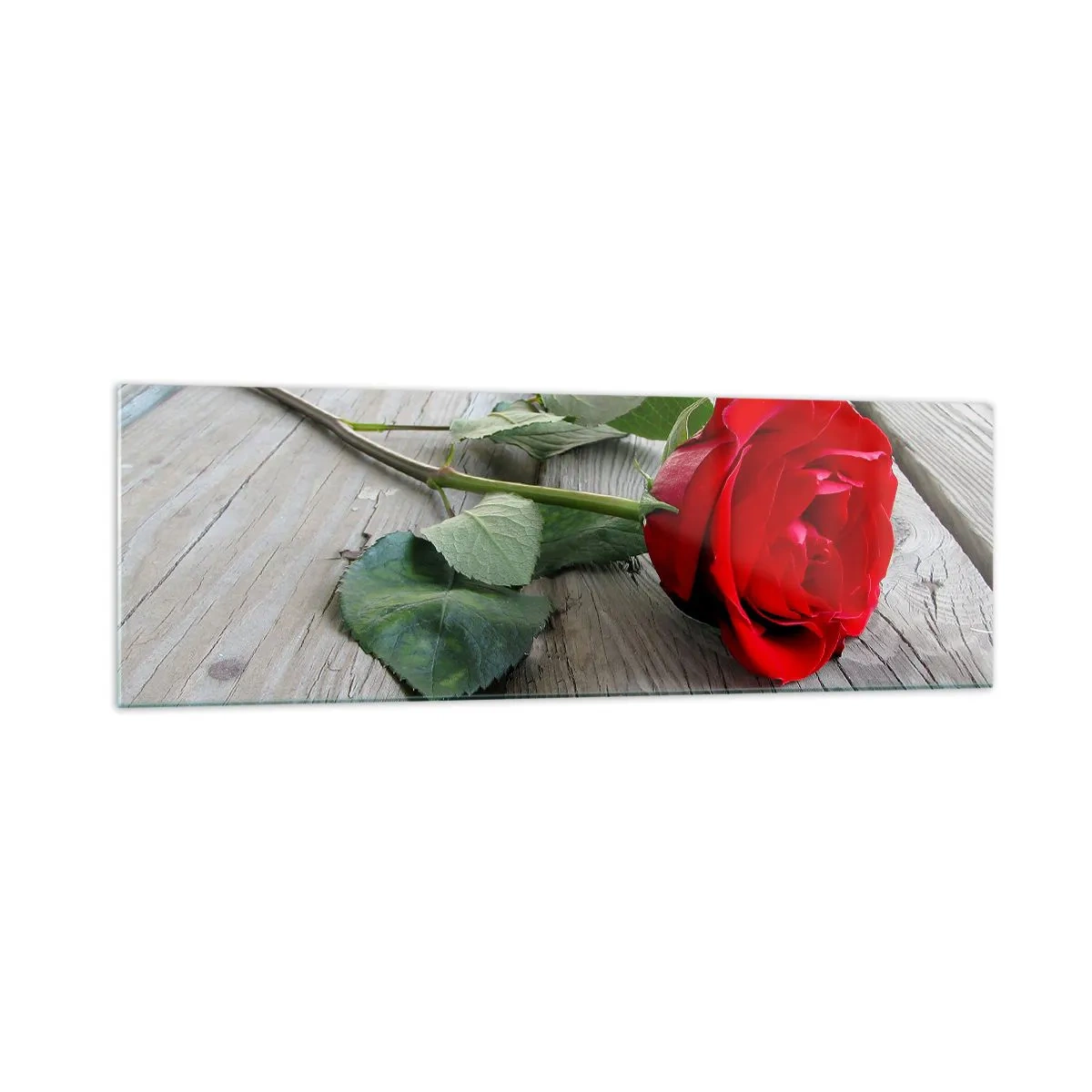 Glasbild - Bild auf glas - Rote Rose auf einem hölzernen Hintergrund - 160x50cm - Eine Studie in Scharlachrot - Moderne Wanddekoration für Wohnzimmer und Schlafzimmer ARTTOR