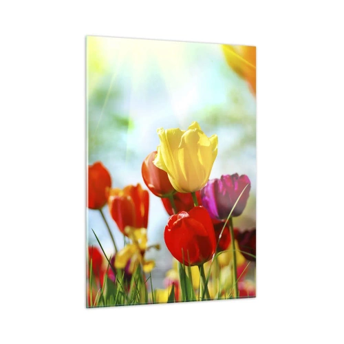 Glasbild - Bild auf glas - Bunte Tulpen, beleuchtet von den Sonnenstrahlen - 50x70cm - Alle Farben der Sonne - Moderne Wanddekoration für Wohnzimmer und Schlafzimmer ARTTOR