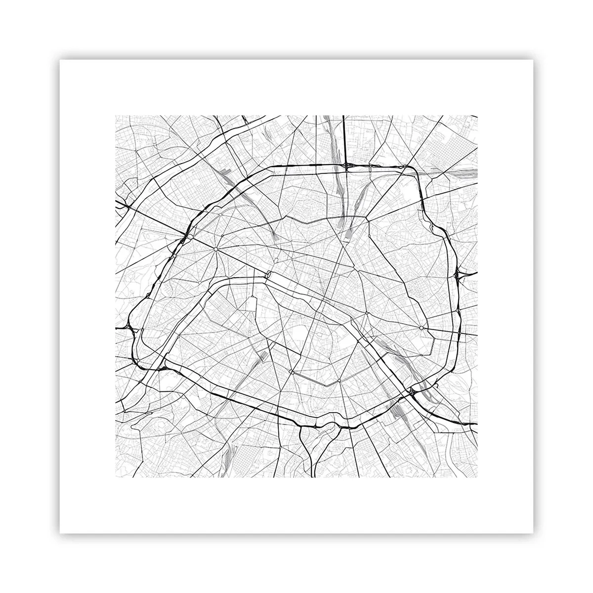 Poster - Pariser Blume - 30x30 cm