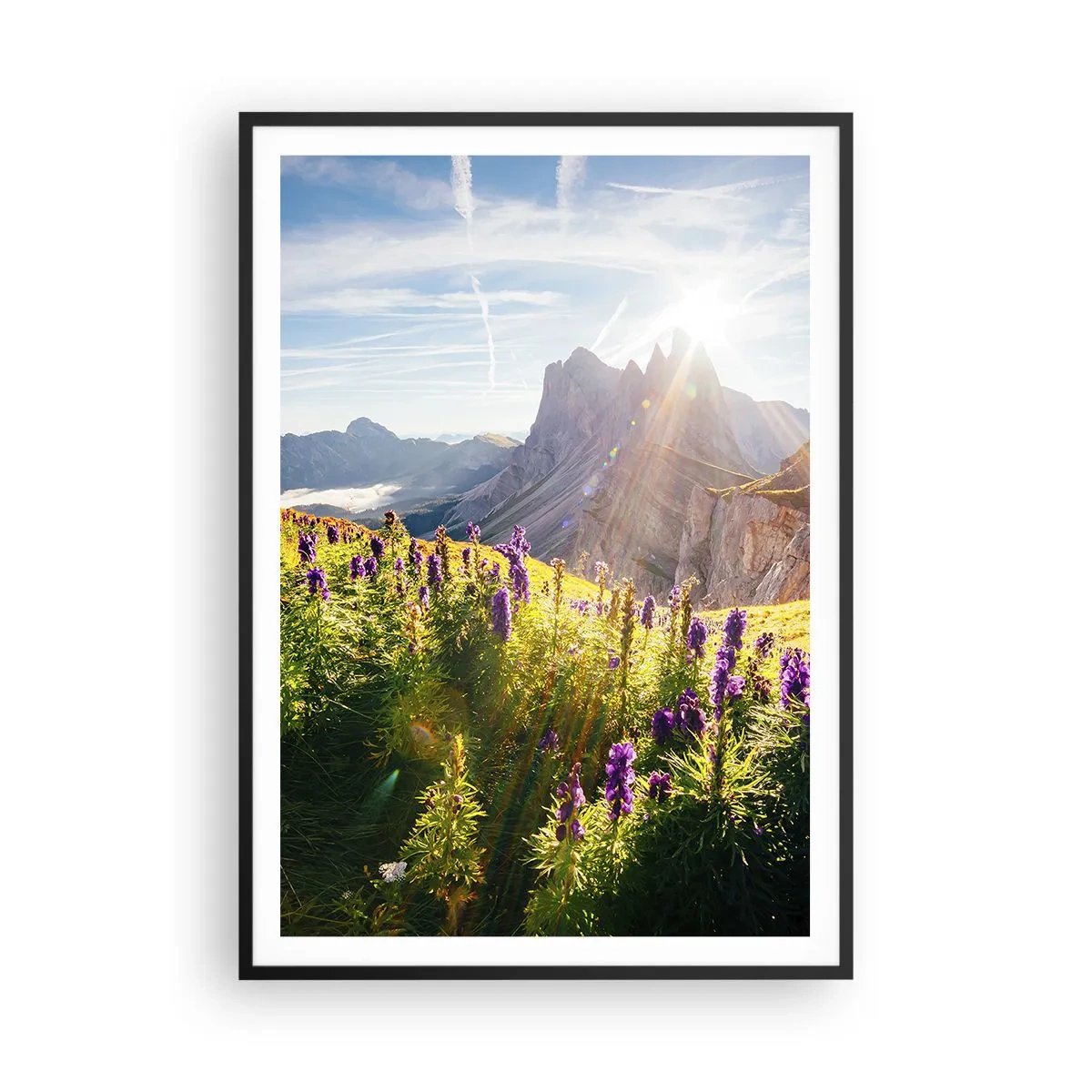 Poster in einem schwarzem Rahmen - Das geheime Leben der Kräuter - 70x100 cm