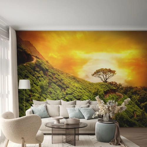 Selbstklebende Fototapete Deluxe Sticker - Ein gewundener Weg, ein grüner Hang - Landschaft, Tee Plantage, Indien - 100x70 cm
