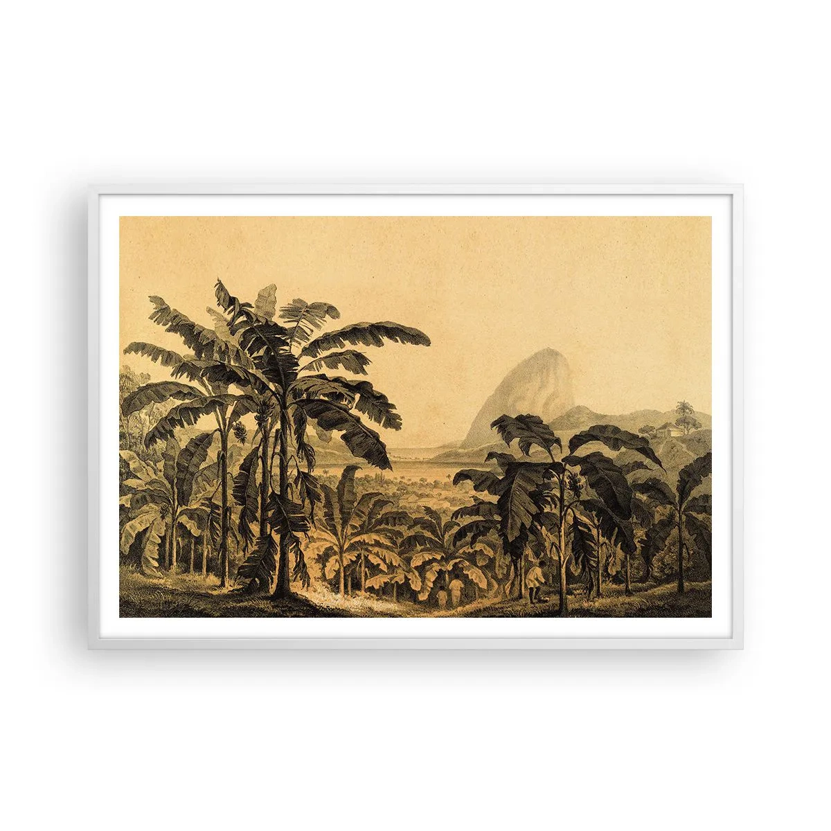 Poster in einem weißen Rahmen - in einem kolonialen Klima - 100x70 cm
