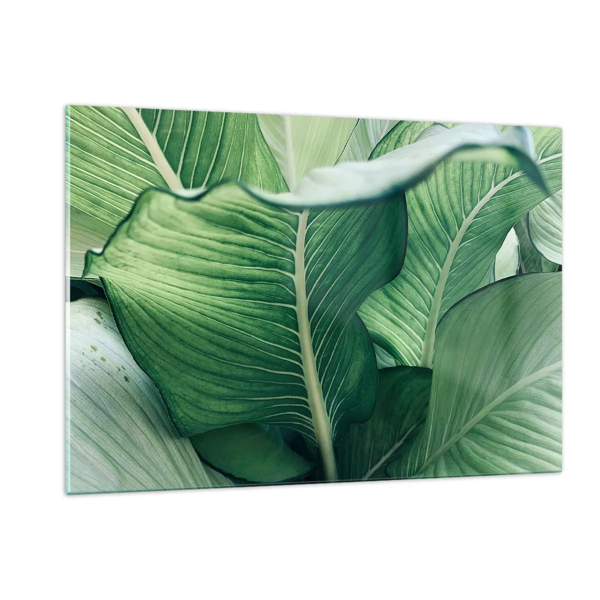Glasbild - Bild auf glas - Üppige grüne Blätter in Nahaufnahme und natürlichem Licht - 120x80cm - Intensiv grünes Leben - Moderne Wanddekoration für Wohnzimmer und Schlafzimmer ARTTOR