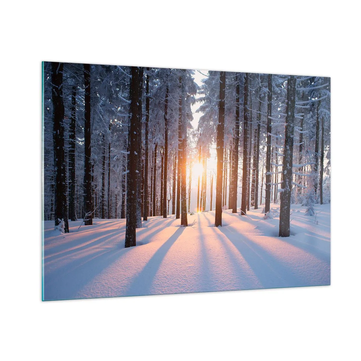 Glasbild - Bild auf glas - Winterwald mit Sonnenstrahlen, die durch die Bäume scheinen - 100x70cm - Ganz klar schwarz auf weiß - Moderne Wanddekoration für Wohnzimmer und Schlafzimmer ARTTOR