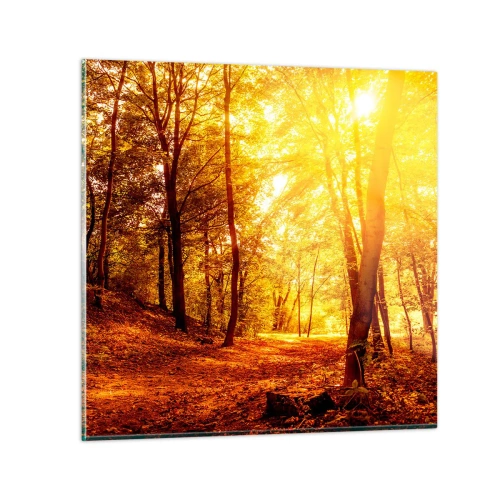 Glasbild - Bild auf glas - Auf die goldene Lichtung - 50x50 cm