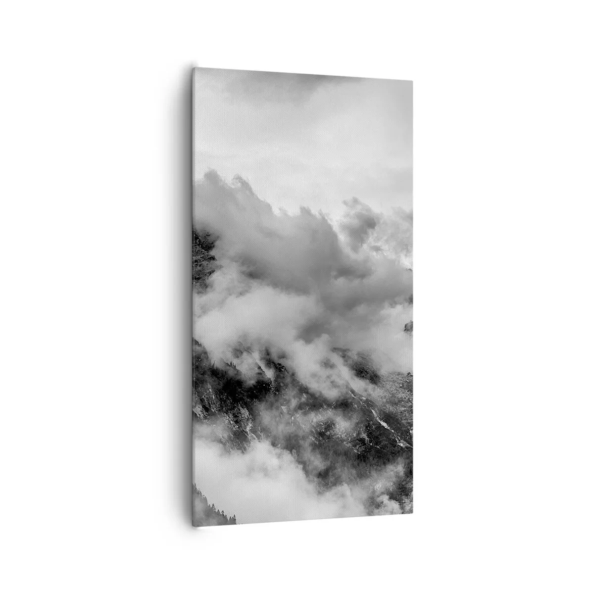 Bild auf Leinwand - Leinwandbild - Schön und grausam - 65x120 cm