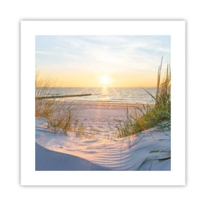 Poster - Das Rauschen des Meeres, der Gesang der Vögel, ein wilder Strand im Gras ... - 40x40 cm