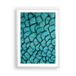 Poster in einem weißen Rahmen - Große Federgala - 50x70 cm