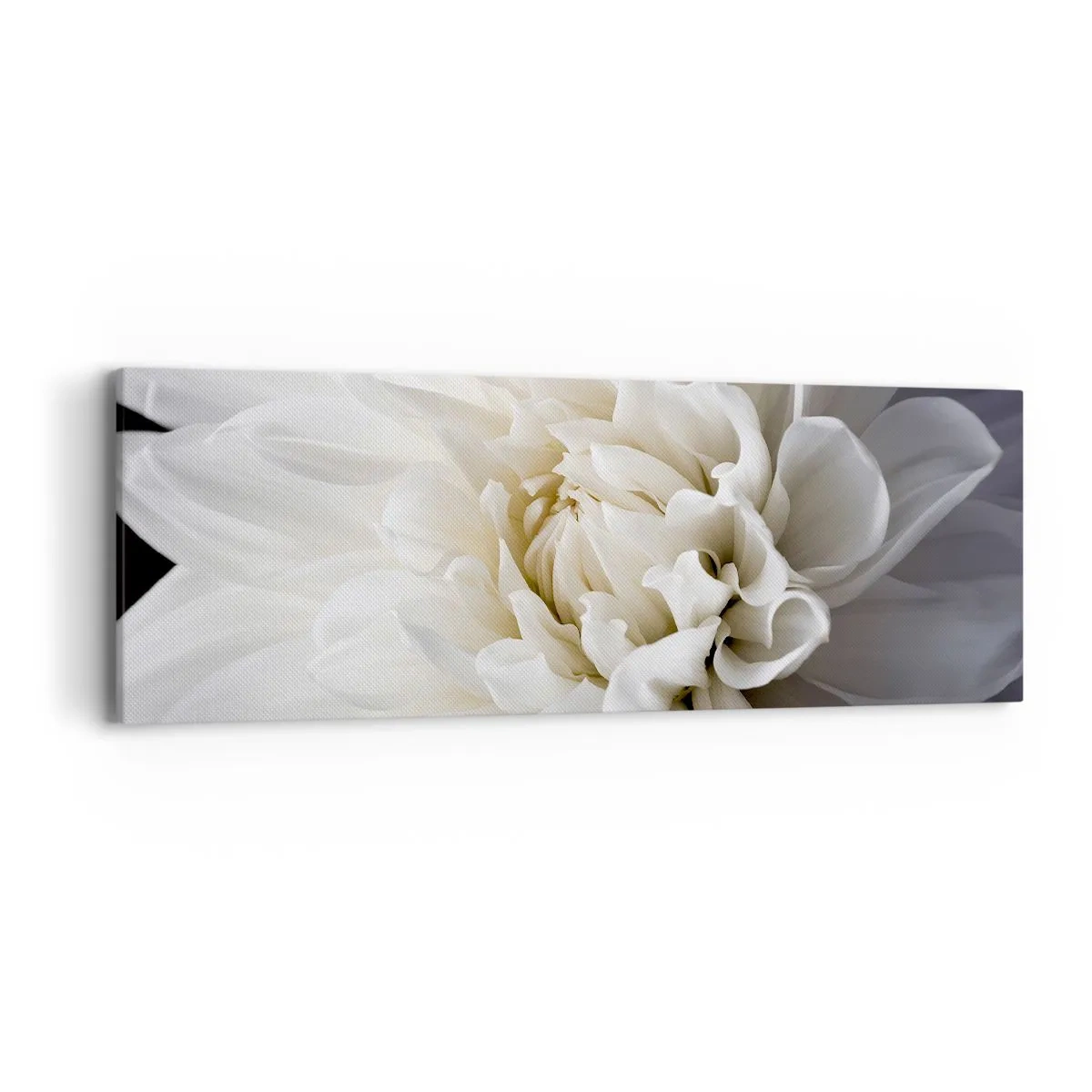 Bild auf Leinwand - Leinwandbild - Der Morgen der Braut - 90x30 cm