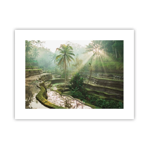 Poster - In der Sonne aufwachsen - 40x30 cm