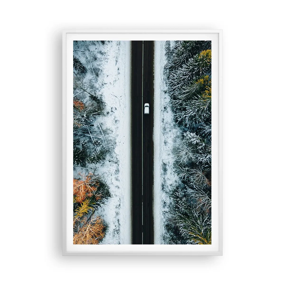 Poster in einem weißen Rahmen - Schnitt durch den Winterwald - 70x100 cm