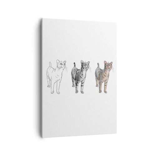 Bild auf Leinwand - Leinwandbild - Die Entwicklung einer Katzenzeichnung von der Skizze zur farbigen Form - 50x70cm - Zeichenunterricht - Moderne Wanddekoration für Wohnzimmer und Schlafzimmer ARTTOR