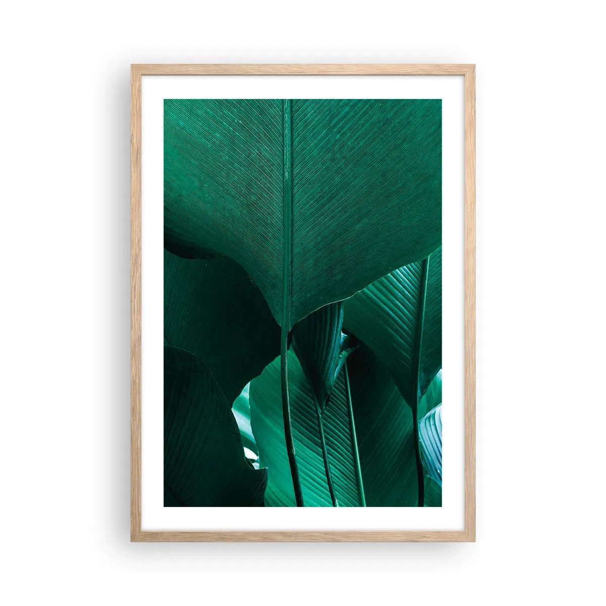 Poster in einem Rahmen aus heller Eiche - Dem Licht zugewandt - 50x70 cm