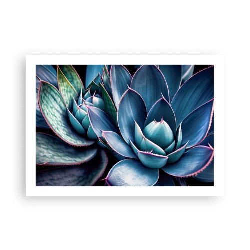 Poster - Lebenskraft - 70x50 cm