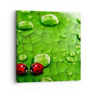 Bild auf Leinwand - Leinwandbild - Treffen im Grünen - 30x30 cm