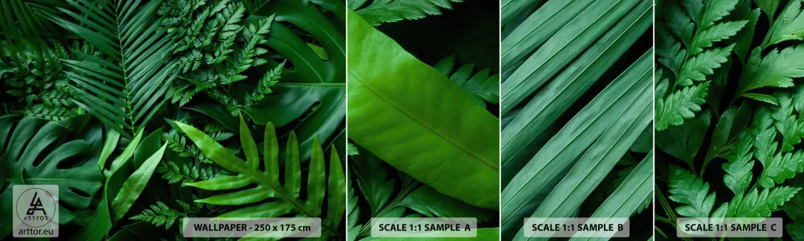 Fototapetenmuster Standard Eco - Eingebettet ins Grüne - Exotische Pflanze, Palmblatt, Monstera-Blatt - 100x30 cm
