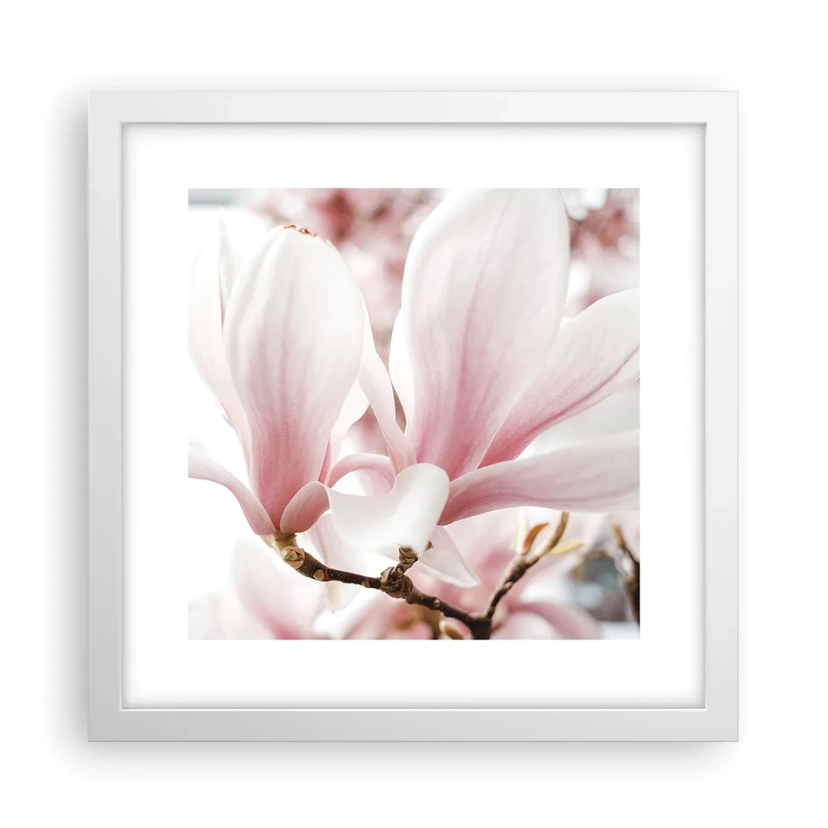 Poster in einem weißen Rahmen - Eine Fülle von Zärtlichkeit - 30x30 cm