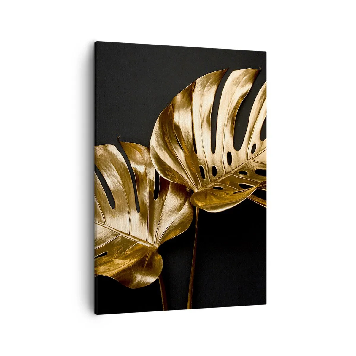 Bild auf Leinwand - Leinwandbild - Goldene Monstera-Blätter auf schwarzem Hintergrund - 50x70cm - Die Schätze der Natur - Moderne Wanddekoration für Wohnzimmer und Schlafzimmer ARTTOR