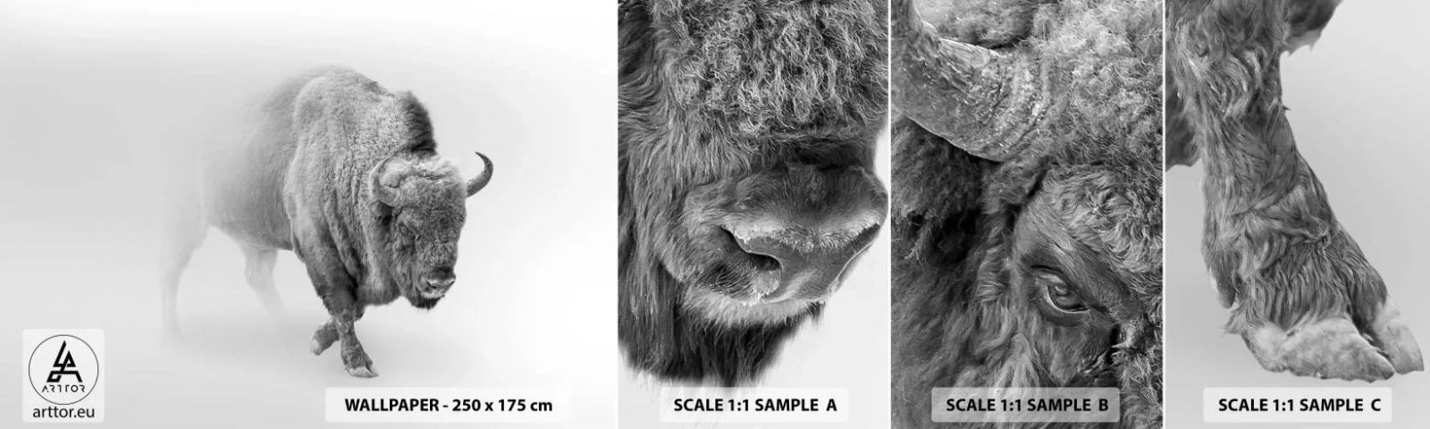 Fototapeten Muster Selbstklebend Deluxe Sticker - König der Prärie - Wisent, Tiere, Bison - 100x30 cm