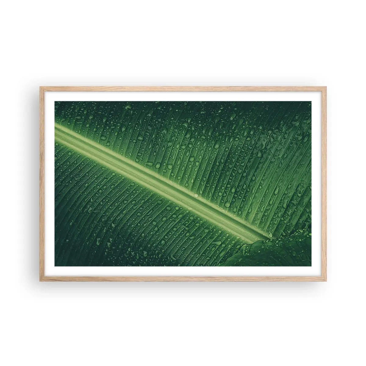 Poster in einem Rahmen aus heller Eiche - Die Struktur des Grüns - 91x61 cm