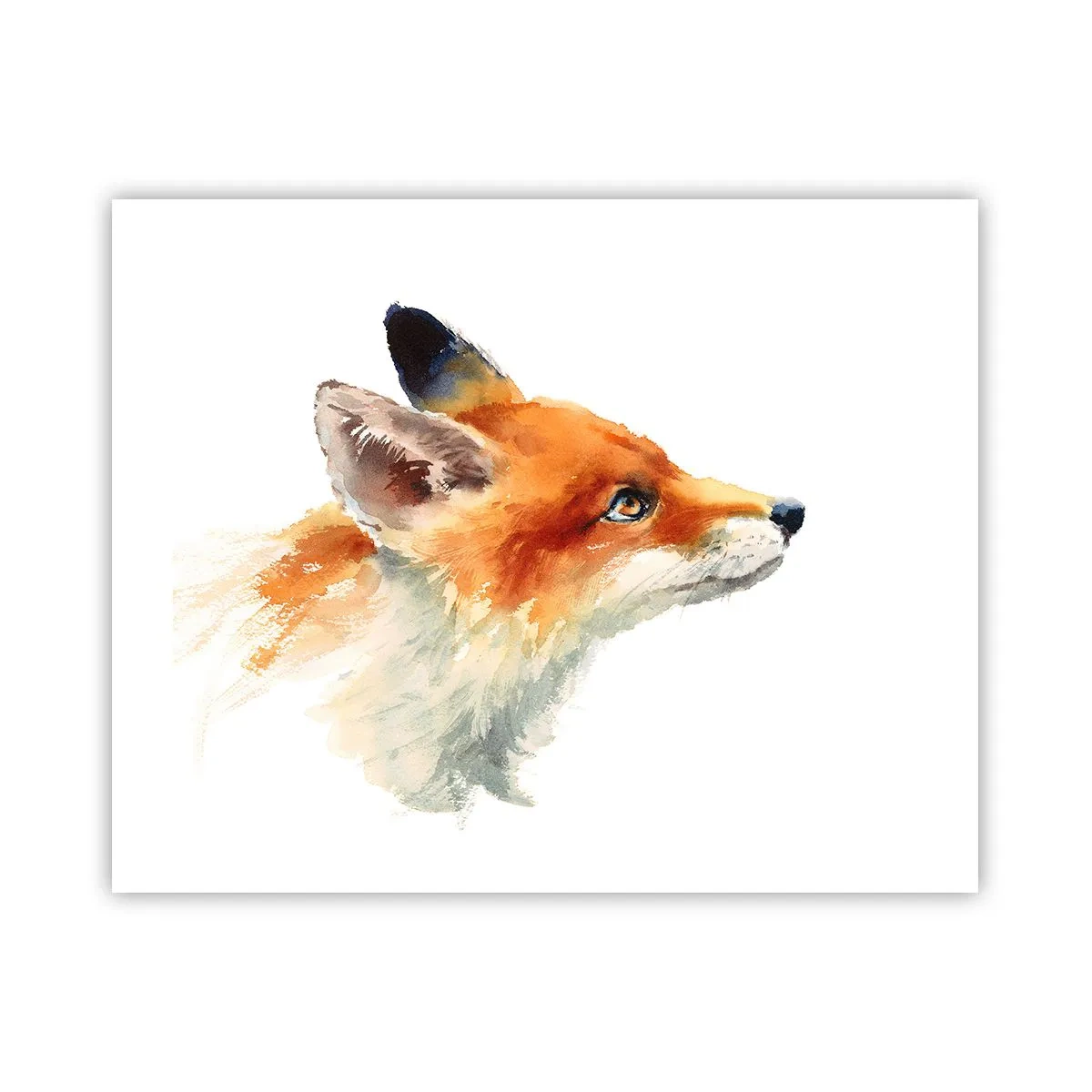 Poster - Man kann nie vorsichtig genug sein - 50x40 cm