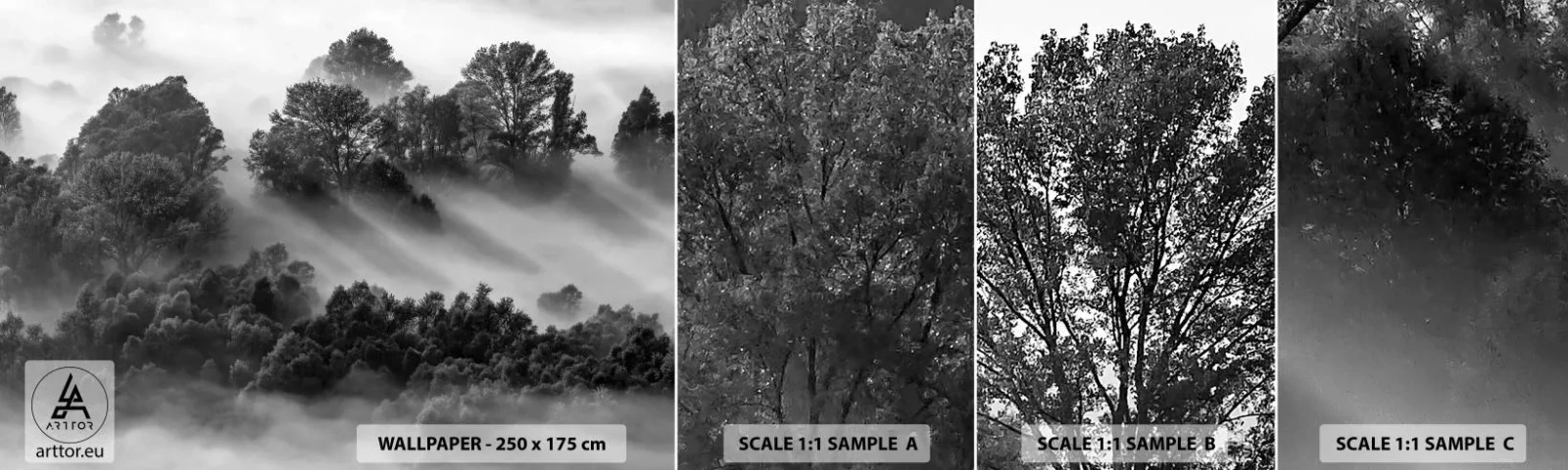 Fototapeten Muster Selbstklebend Deluxe Sticker - Aufstehend aus dem Schlaf - Landschaft, Wald, Nebel - 100x30 cm